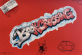BOOKCROSSING